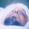قتيل الظلم والغدر الشيخ الشهيد نزار حلبي الأشعري الأزهري